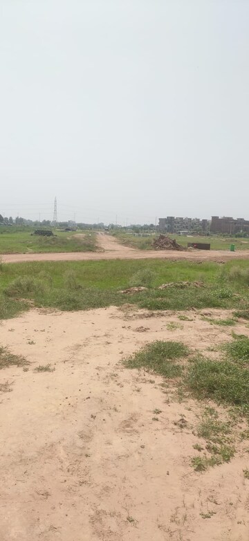 Plot Area in  Plot at Sector 127 – for Sale