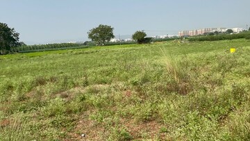 Plot Area in  Plot at SSP Sree City Prime, Kankipadu – for Sale