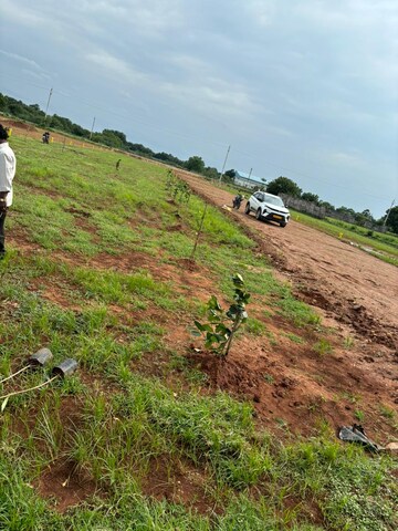 Plot Area in  Plot at Mangalagiri – for Sale