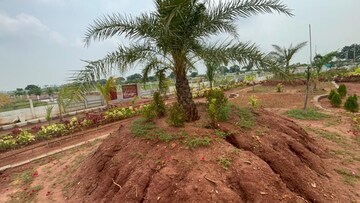  Plot – Garden View at Sri Bhumi Eeshaanya, Kankipadu - for Sale