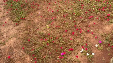  Plot – Garden View at Sri Bhumi Eeshaanya, Kankipadu - for Sale