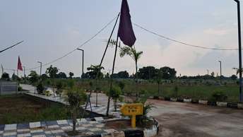 Plot For Resale in Rudraram Hyderabad  7604464