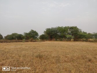 Plot For Resale in Shirdi Ahmednagar  7570911