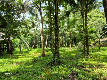 Plot For Resale in Siolim North Goa  7605179