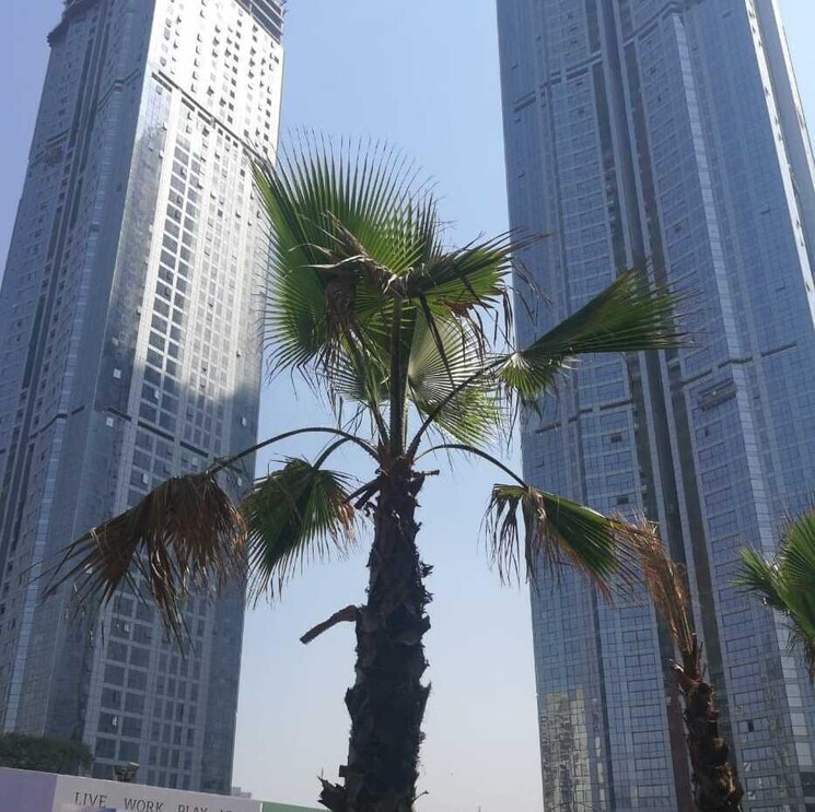 Swimming Pool, bombay-realty-one-icc 4 Bedroom 2514 Sq.Ft. Apartment In Dadar East Mumbai 7605338