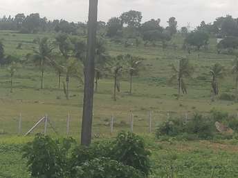 Plot For Resale in H K P Road Bangalore  7605624