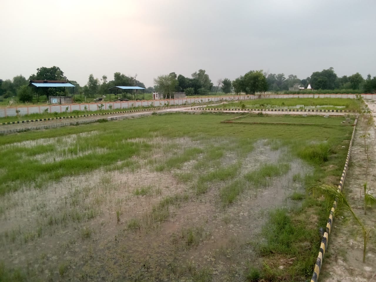 Plot For Resale in Kalli Paschim Lucknow  7605675