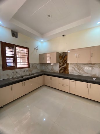 2 BHK Apartment For Rent in Sunny Enclave Mohali  7605907