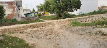 Plot For Resale in Sector 23 Gurgaon  7605897