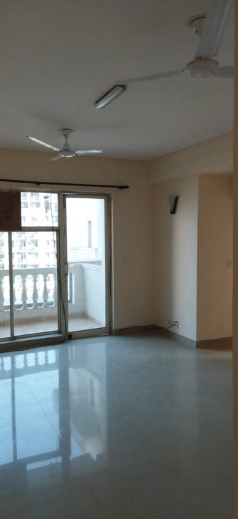 2 BHK Apartment For Rent in DLF The Princeton Estate Dlf Phase V Gurgaon  7606278