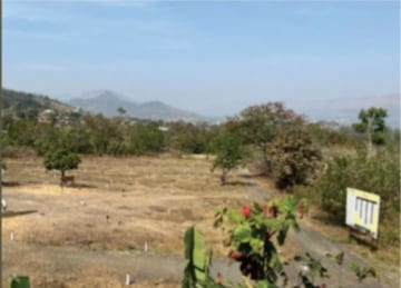 Plot For Resale in Vithalwadi Pune  7606674