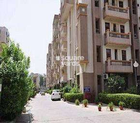 3 BHK Apartment For Rent in Shatabdi Vihar Sector 52 Noida  7606735