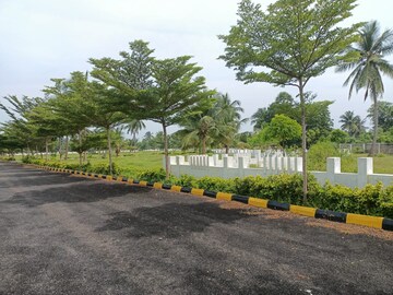 Plot Area in  Plot at Bhogapuram – for Sale