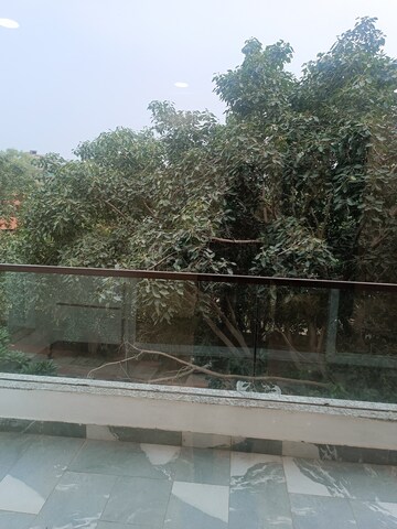 Balcony in 4 BHK Builder Floor at Chittaranjan Park – for Sale