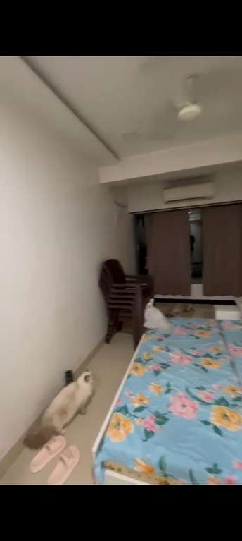 3 BHK Apartment For Rent in Kalina Mumbai  7607196