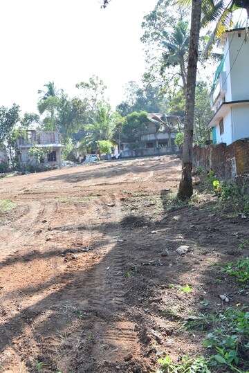 Plot For Resale in Carithas Kottayam  7607343