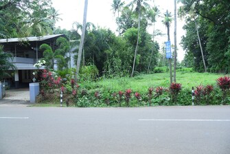 Plot For Resale in Carithas Kottayam  7607343