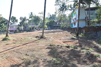 Plot For Resale in Carithas Kottayam  7607343