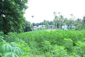 Plot For Resale in Carithas Kottayam  7607343