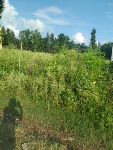  Plot – Exterior View View at Raipur Road - for Sale