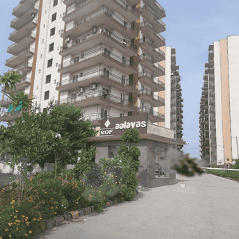 3 BHK Apartment For Rent in ROF Aalayas Phase 2 Sector 102 Gurgaon  7608593