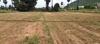 Plot For Resale in Vizag Airport Vizag  7608636