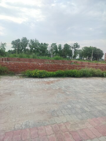 Plot Area in  Plot at Bakkas – for Sale