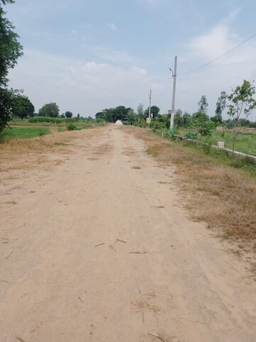  Plot For Sale in Jewar