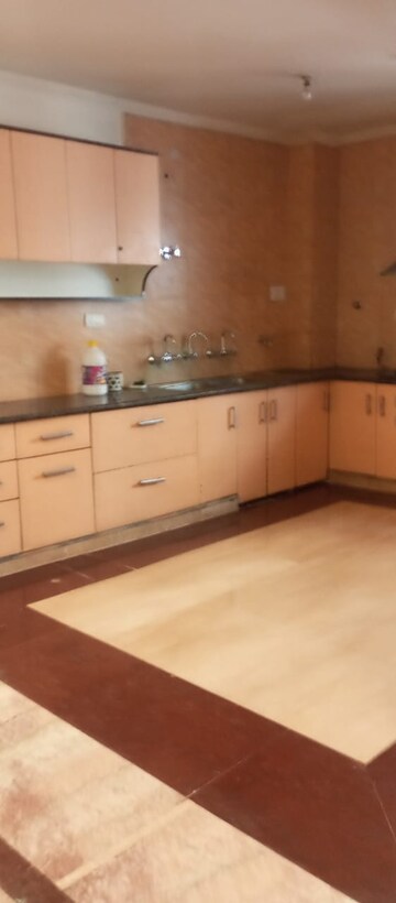 रेसिडेंशियल घर वर्ग मीटर फॉर रेंट इन सेक्टर 41 नोएडा  7609869