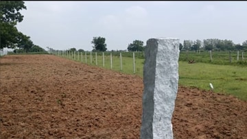 Plot For Resale in Chegunta Hyderabad  7610189