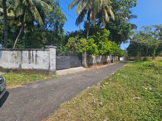 Plot For Resale in Chembukkav Thrissur  7610515