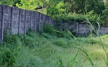 Plot For Sale in Lohgaon