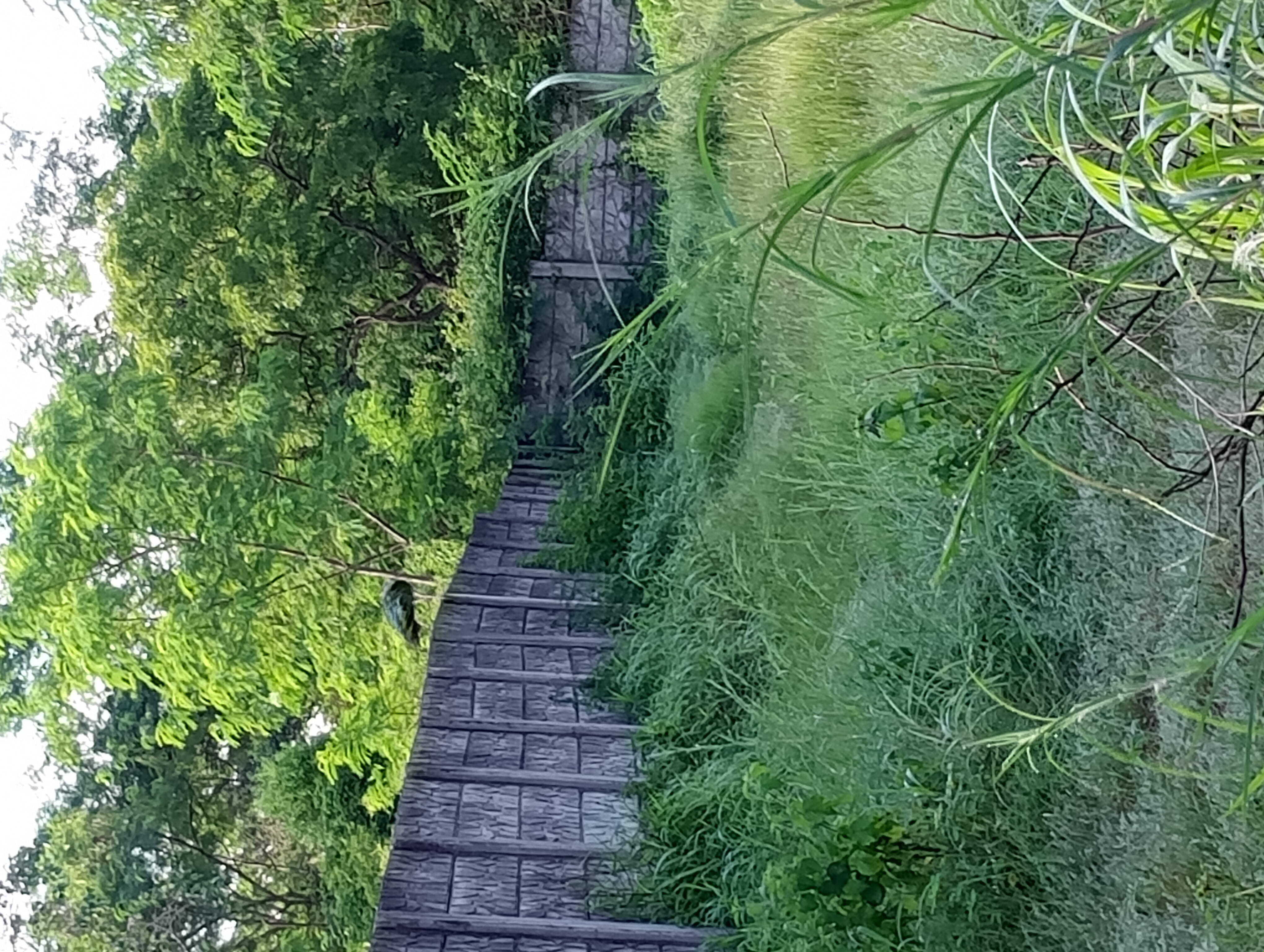 Resale 3750 Sq.Ft. Plot in Lohegaon Pune 7619690