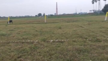 Plot For Resale in Sadikpur Patna  7611130