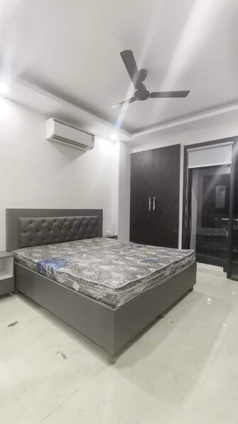 1 BHK Apartment For Rent in Mantri Centrium Malleswaram Bangalore  7611766