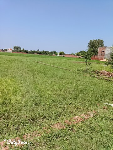  Plot For Sale in Rajatalab