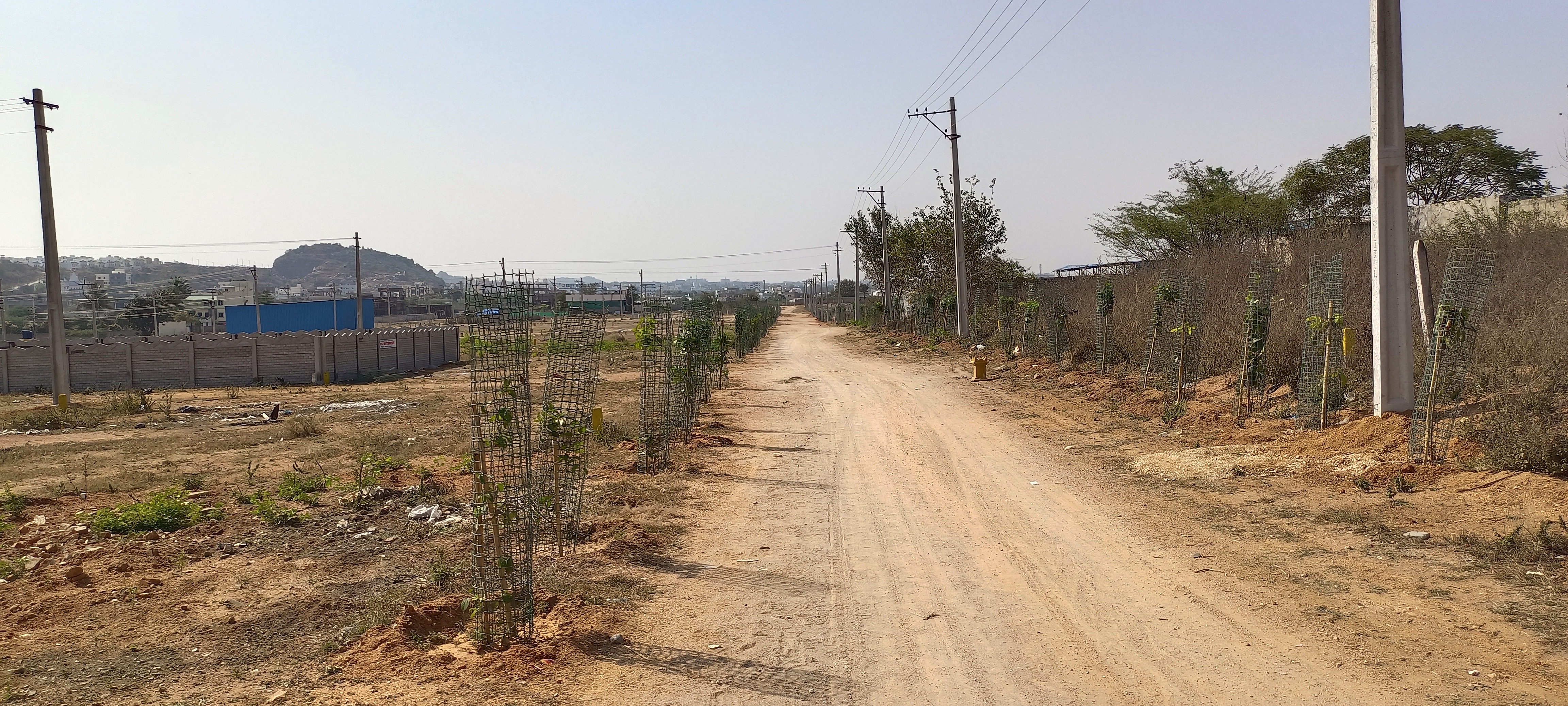 Plot For Resale in Balapur Hyderabad  7612002