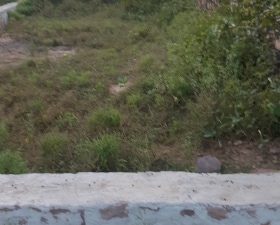Plot For Sale in Mahaveer Nagar