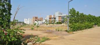 Plot For Resale in Raipur Raipur  7613043