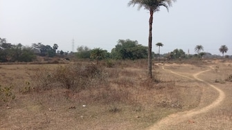 Plot For Resale in Gobindpur Dhanbad  7613213