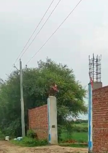 Plot – Exterior View View at Yamuna Expressway - for Sale