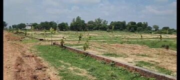  Plot For Sale in Yamuna Expressway