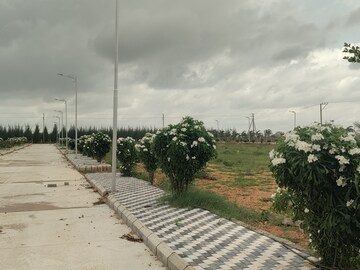  Plot – Exterior View View at Gateway Ananta One, Amangal - for Sale