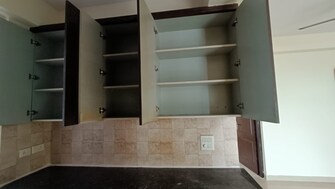 2 BHK Apartment For Rent in Amrapali Royal Vaibhav Khand Ghaziabad  7614579