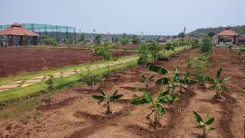 Plot For Resale in Sadashivpet Hyderabad  7614718