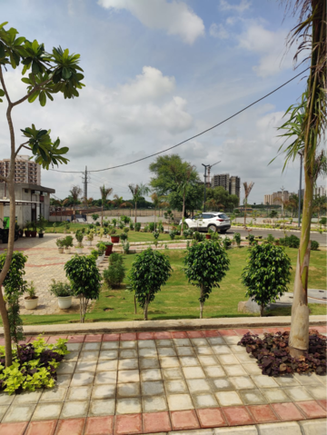  Plot – Garden View at Skywhales Vienna Greens, Sector 99a - for Sale