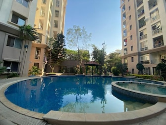 2 BHK Apartment For Rent in S Balan Meenakshi Classic Hsr Layout Bangalore  7615151