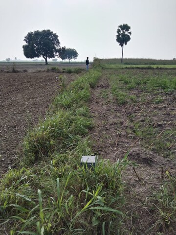 Plot Area in  Plot at Thullur – for Sale