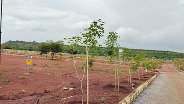 Plot For Resale in Budhera Hyderabad  7615873