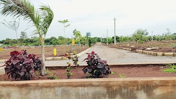 Plot Area in  Plot at Budhera – for Sale